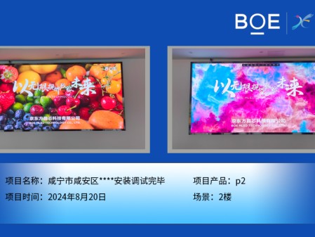 咸寧市咸安區(qū)****安裝調試完畢