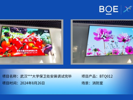 武漢***大學保衛(wèi)處安裝調試完畢